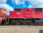 CP 7002